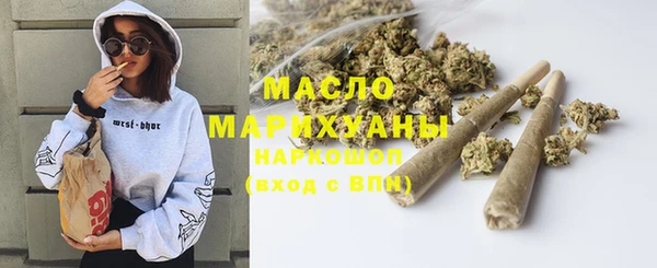 дмт Няндома